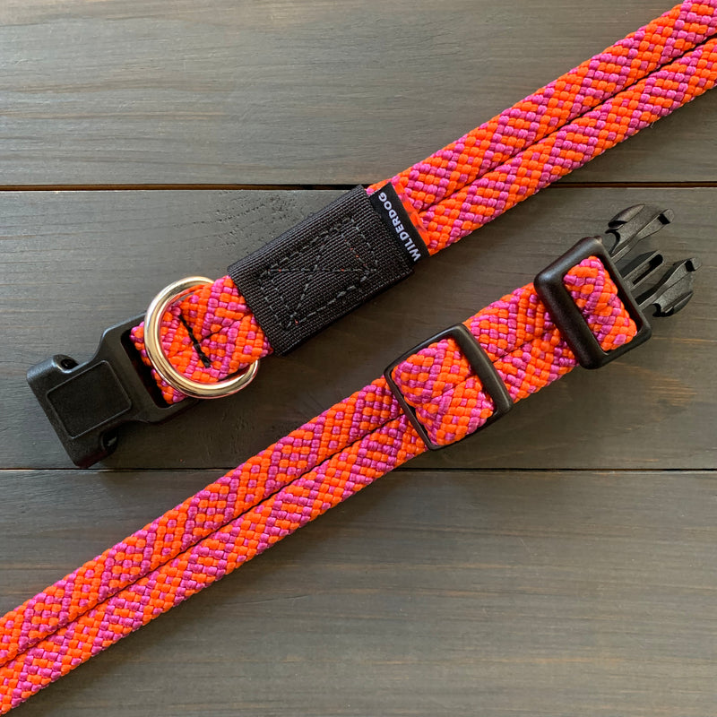 A close-up image of two intertwined Sierra Collars on a wooden surface. The collars are orange and purple, featuring black plastic buckles and metal rings, showcasing the strength typical of heavy-duty dog gear. One collar is laid out flat, while the other is slightly folded with a visible brand label.